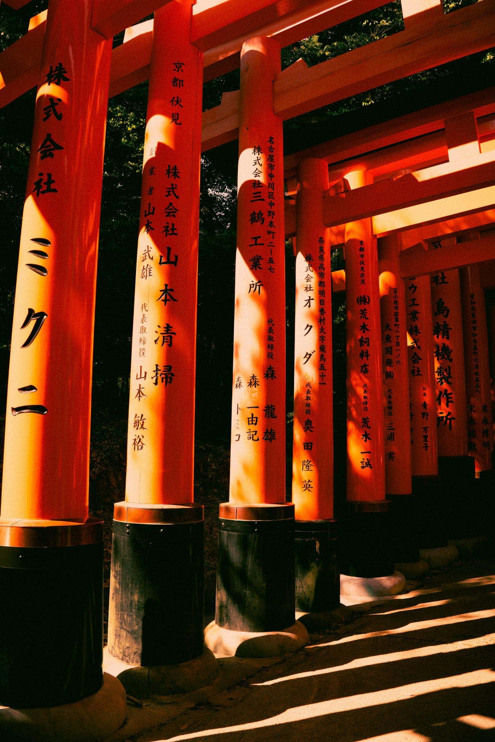 Rows of orange torii gates in sunlight at Fushimi Inari Shrine, Kyoto, Japan