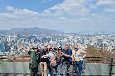 Tour de Seúl: Palacio Gyeongbok, Torre Insadong & N Seoul