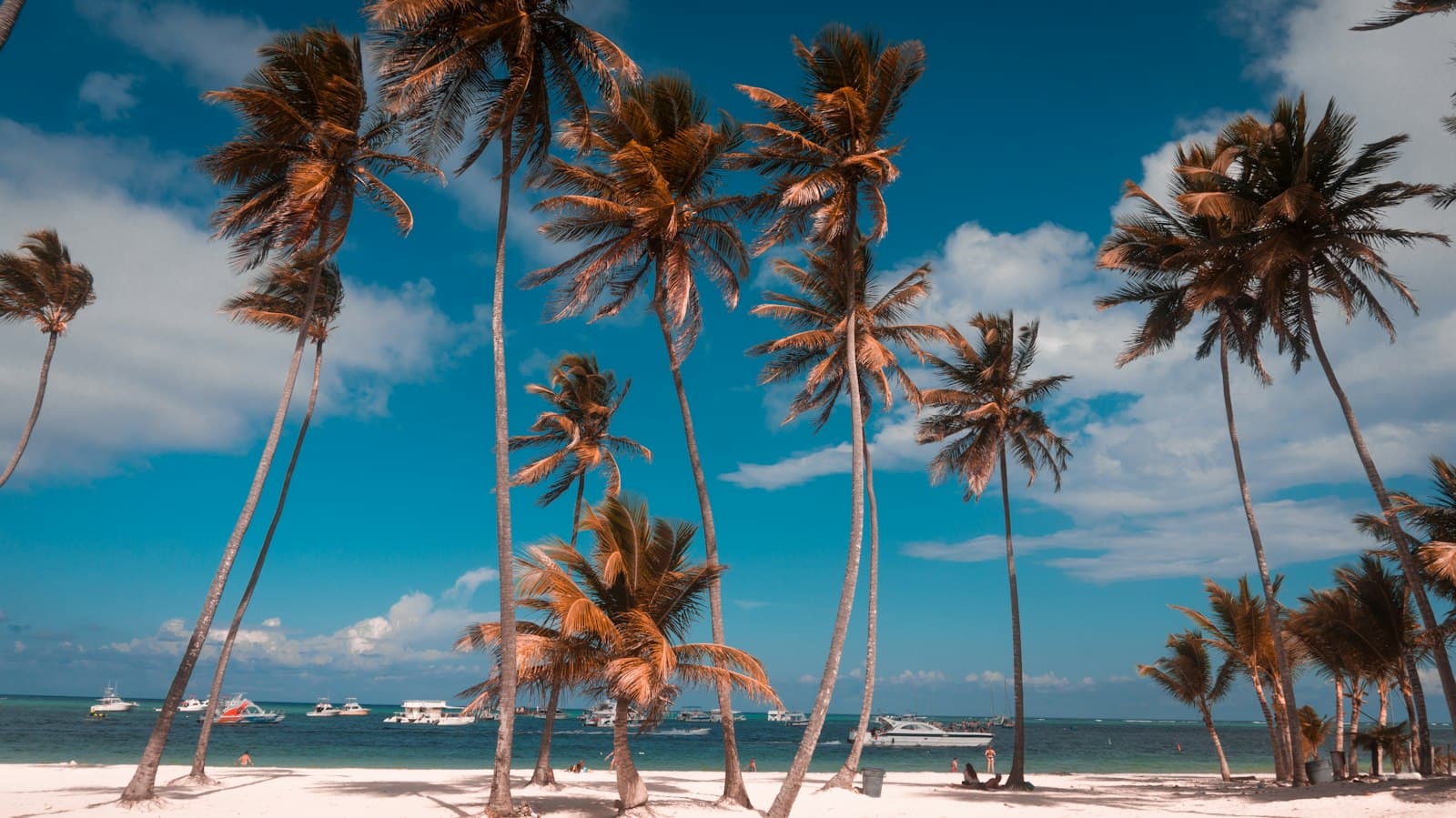 Palmeras y mar turquesa en Playa Bávaro, Punta Cana, República Dominicana